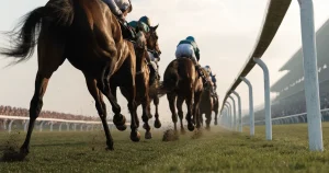Corridas de cavalos: regras, cotas e escolhas em Portugal